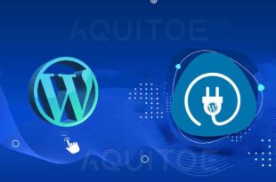 Plugins Indispensables para WordPress